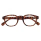 GAFAS EVEREST TURTLE +2.0