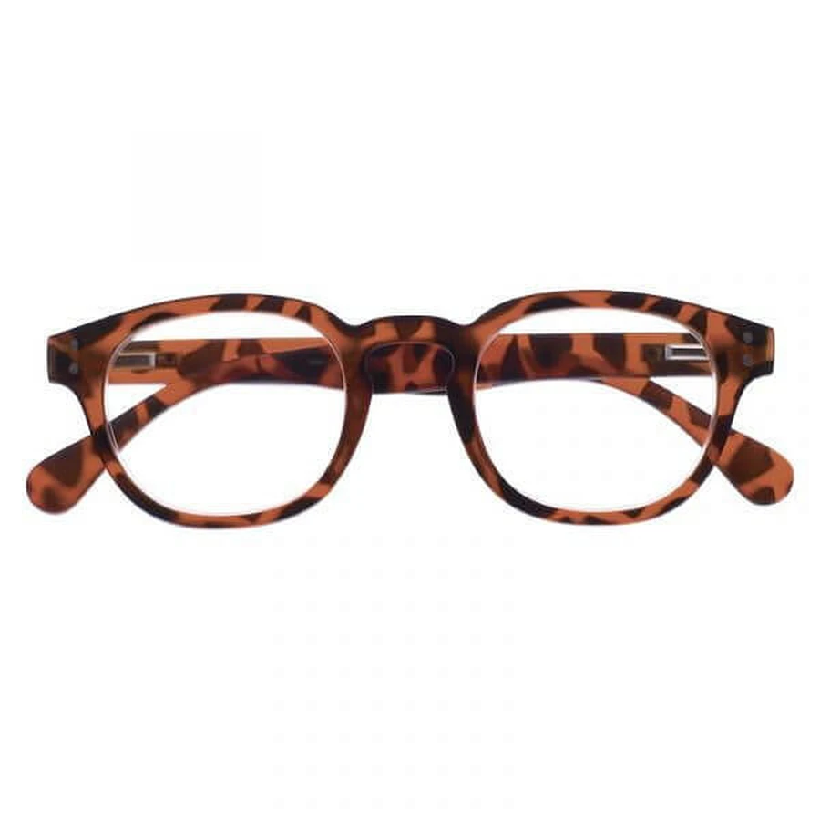 GAFAS EVEREST TURTLE +2.0