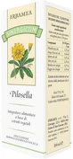 SYNERGICUM PILOSELLA 100ML