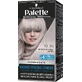 NUEVA PALETA 10-55 COOL BLONDS