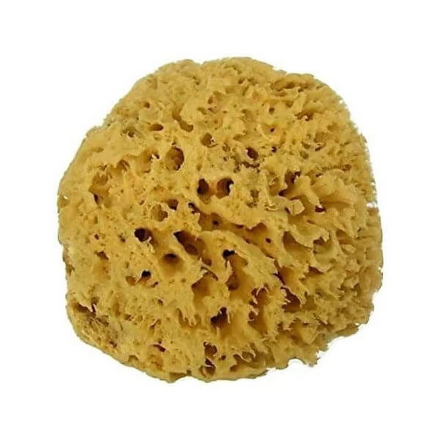 Schwamm Archipel Med Nat 10