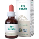Sys Birch Hyaluronic Solution 50ml
