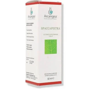 Arcangea Spaccapietra Hydroalkoholische Lösung 50 Ml