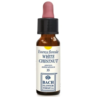 WEISSE KASTANIE ORIGINAL 10ML