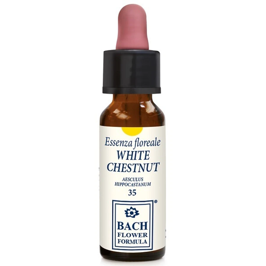 WEISSE KASTANIE ORIGINAL 10ML