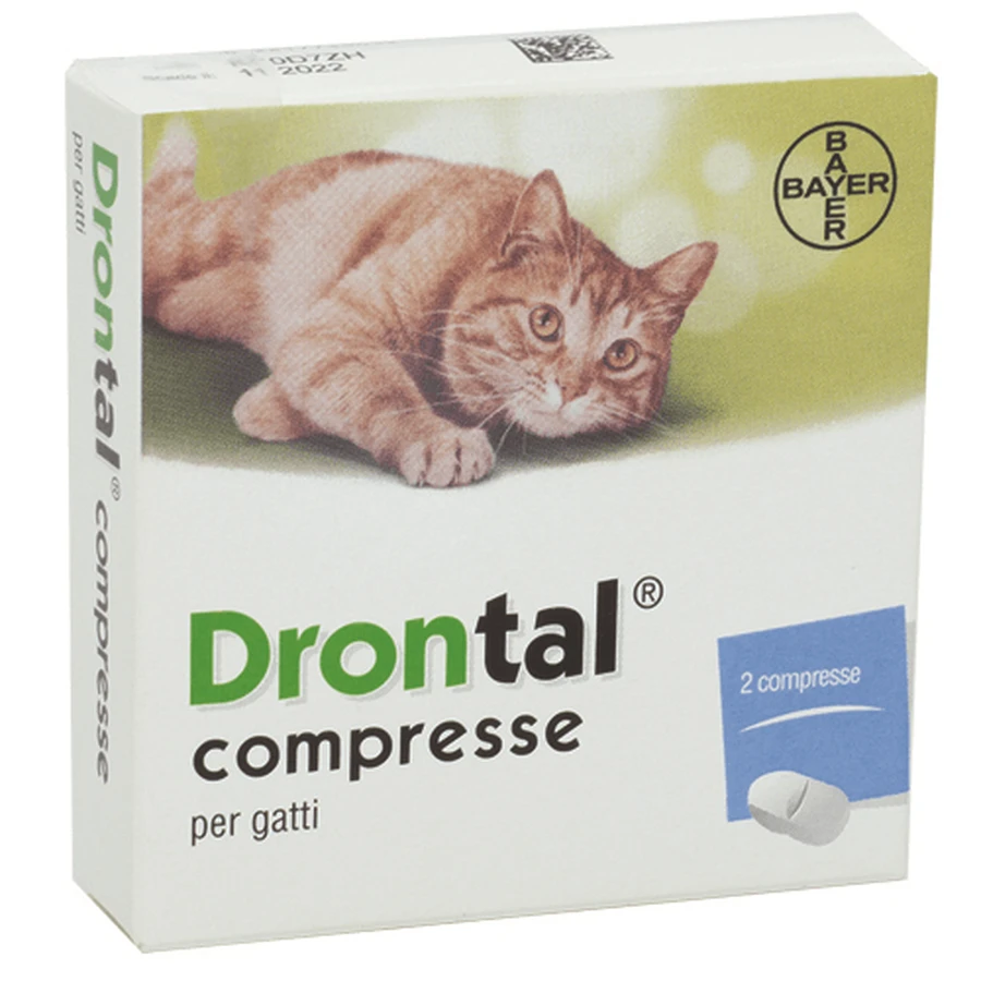 DRONTAL*2CPR KATZE