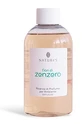 Nature's Flowers Ginger Refill Diffuseur 250ml