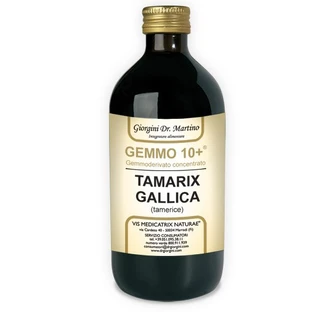 Tamerice 500ml Alcoholvrij Gemmo 10+ Giorgini