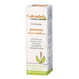 Calendula Nasen-/Lippensalbe FarmaDerbe 10ml