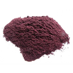 Blauwe bosbes poeder van bessen 100 g