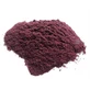 Blauwe bosbes poeder van bessen 100 g