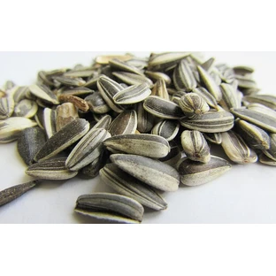 Natural sunflower seeds 100 g