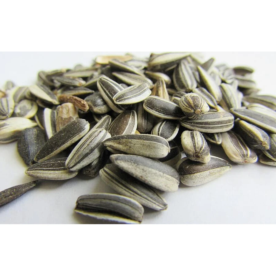 Natural sunflower seeds 100 g