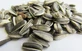 Zonnebloempitten naturel 100 g