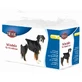 DOG DIAPERS M-L 12PCS
