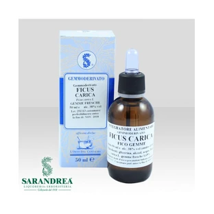 EXTRAGEM Fig Buds 20ml