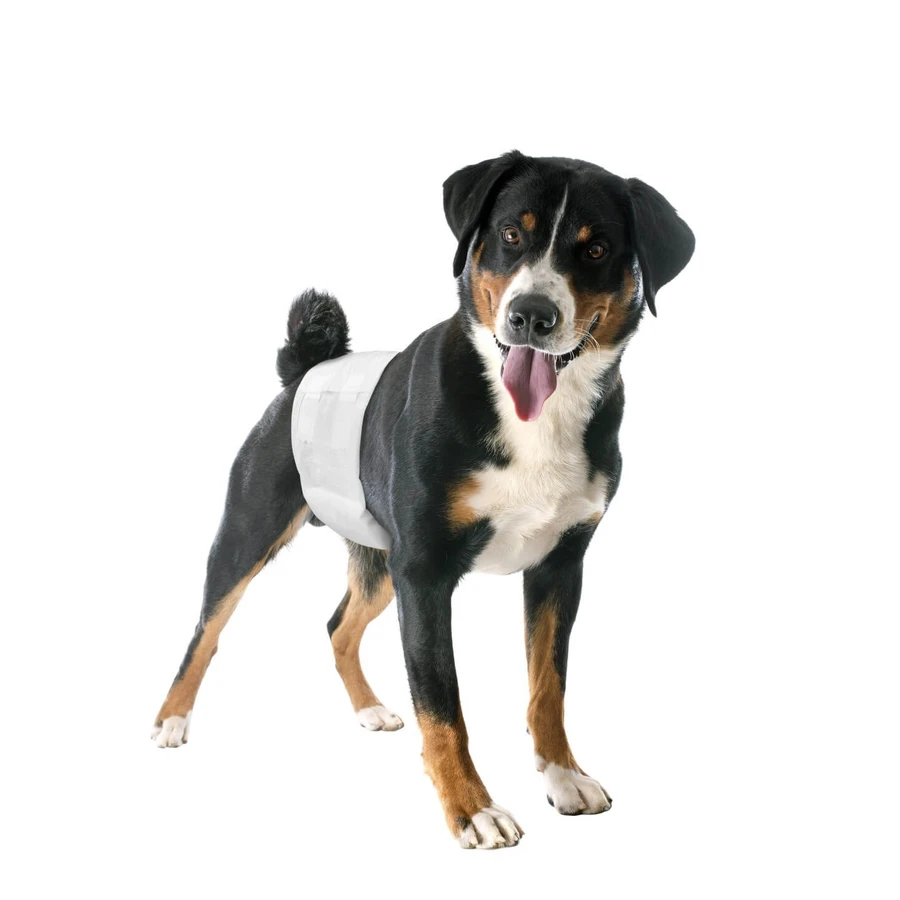 DIAPERS FASC DOGS MASC 2 12P