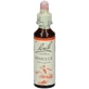 Bach Zentrum Ess Mimulus 20 Ml