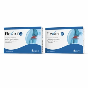 Flexart 60 2x60 Tabletten