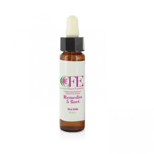 Remedio 5 Flores Esencias Florales 10ml