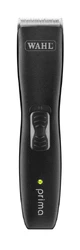 Wahl