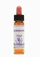 AGRIMONY ESS 10ML INGL KRÄUTER
