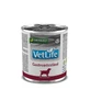 Vet Life Perro Gastrointestinal 300 G