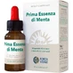 Erste Essenz Minztropfen 10ml