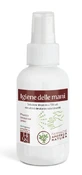HYGIÈNE DES MAINS SOL SPR100ML