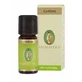 Camphor Oe 10ml