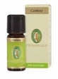 Kamfer Oe 10ml