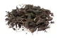 Mimosa tenuiflora en corteza tisana cortada 100 g