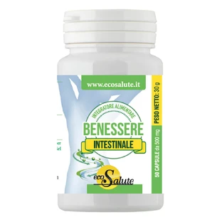 WELLNESS INTESTIN 50CPS ECOSAL