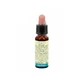 IMPATIENS 10ML VON LEO