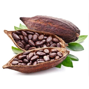 Fèves de cacao entières séchées 100g