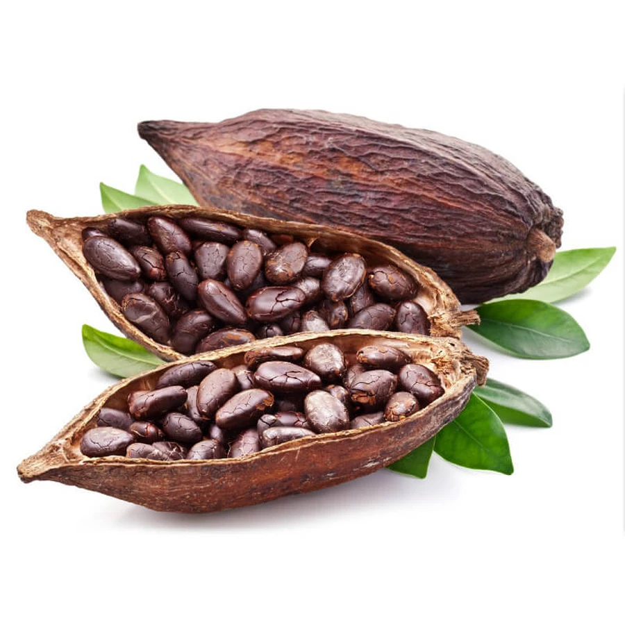 Fèves de cacao entières séchées 100g