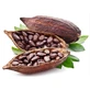 Gedroogde hele cacaobonen 100g