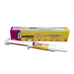 Duelmint 20 Spritze für Hunde und Katzen 15ml