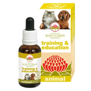 FORMACIÓN & EDUCACIÓN 30ML