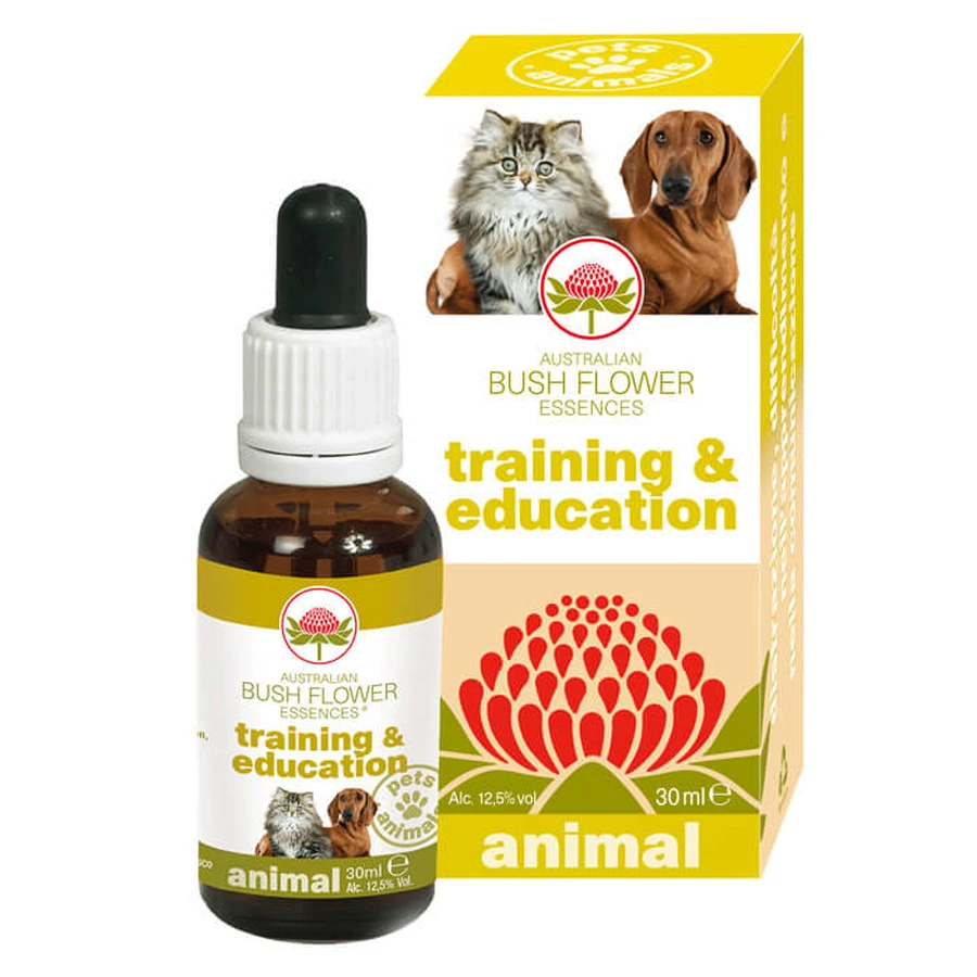 FORMACIÓN & EDUCACIÓN 30ML