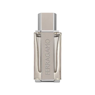 FERRAGAMO U BRIGHT LEATHER EDT 100