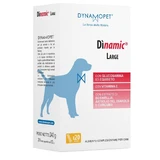 DINAMIC LARGE 20STICK 12G