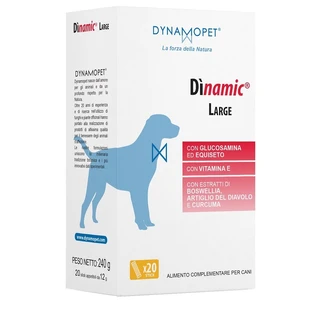 DINAMIC LARGE 20STICK 12G