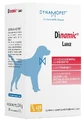 DINAMIC GROTE 20STICK 12G