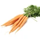 Zanahoria Frutas - 100 Gr
