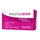 PROPOLISIN FR BOSC 12STICK OF