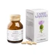 Milk Thistle 50 Capsules