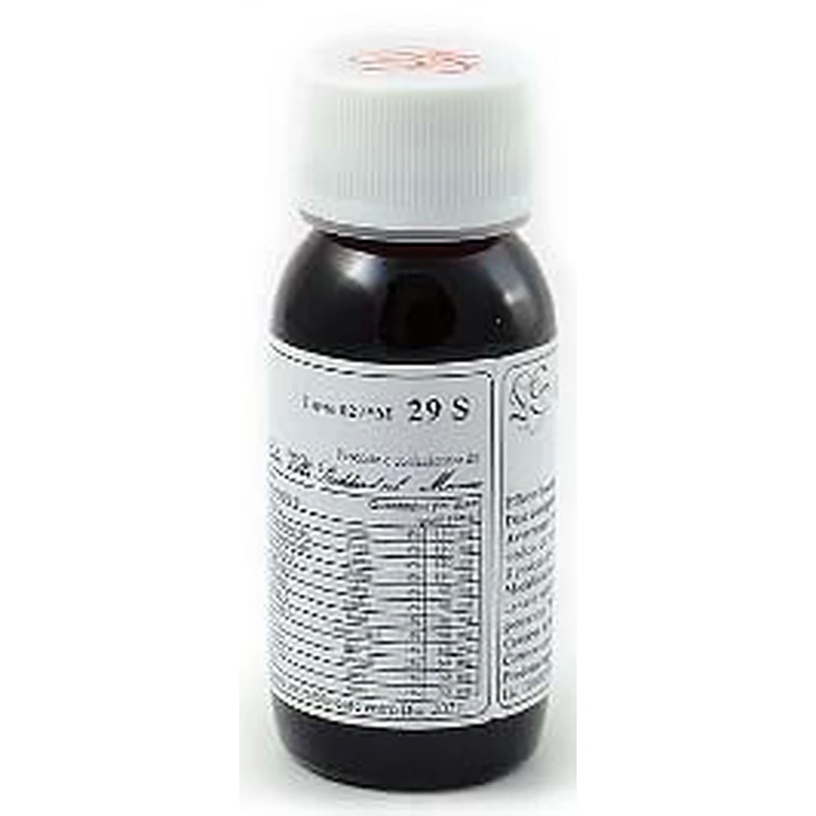 Lvs 19n Alchemilla Vulgaris Compositum