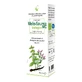APPLE-SAUREA MACERATE ORGANIC 50