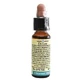 Chestnut Bud 10ml By Leo